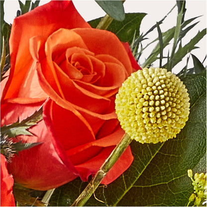 Disco Bouquet –  Still Blooming, Santa Fe TX