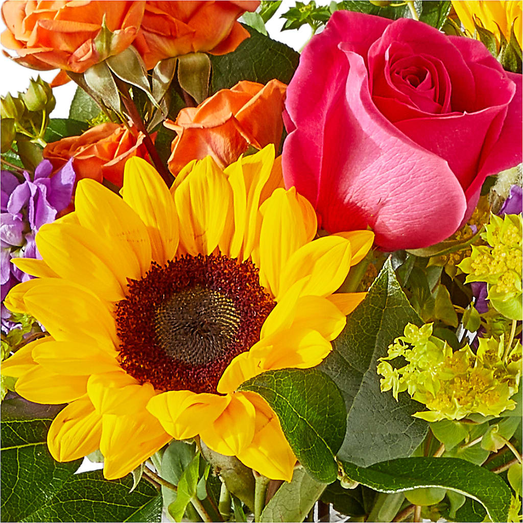 Vibrant Greetings Bouquet –  Still Blooming, Santa Fe TX