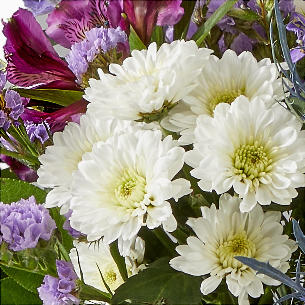 Shooting Star Bouquet –  Still Blooming, Santa Fe TX