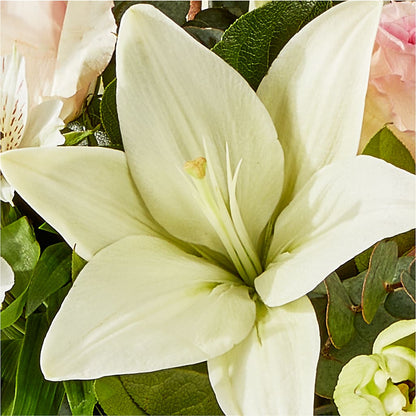 Ballet Slippers Bouquet –  Still Blooming, Santa Fe TX