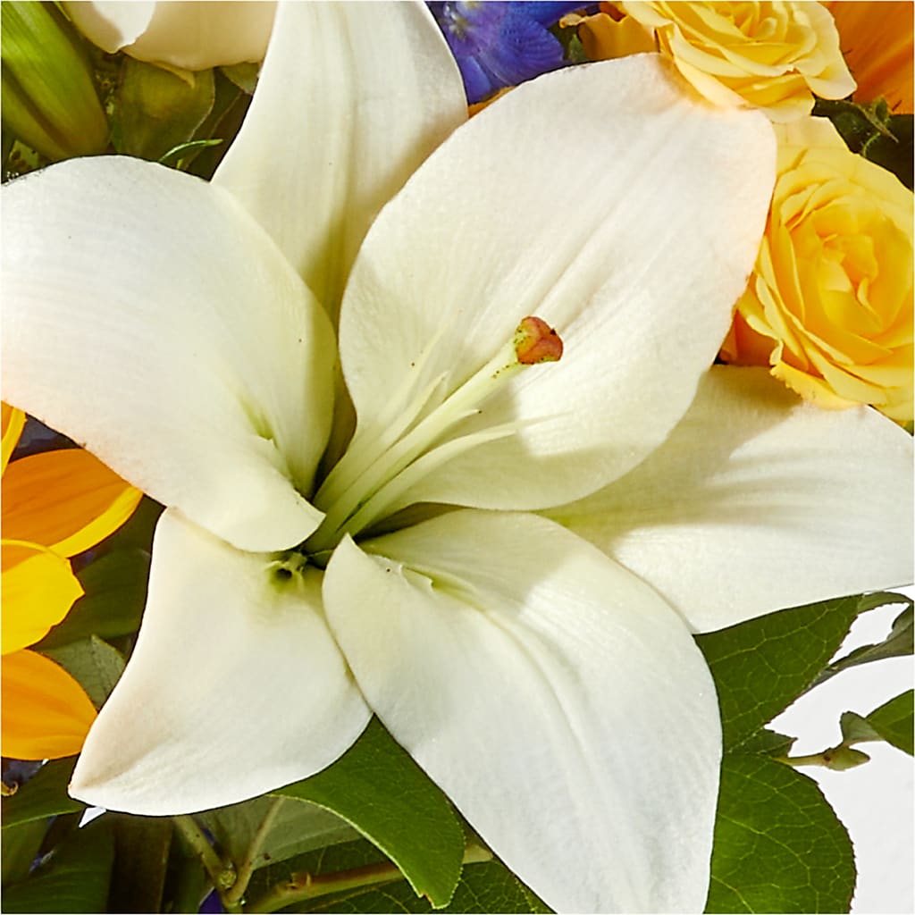 Wonderfully Sunny Bouquet –  Still Blooming, Santa Fe TX