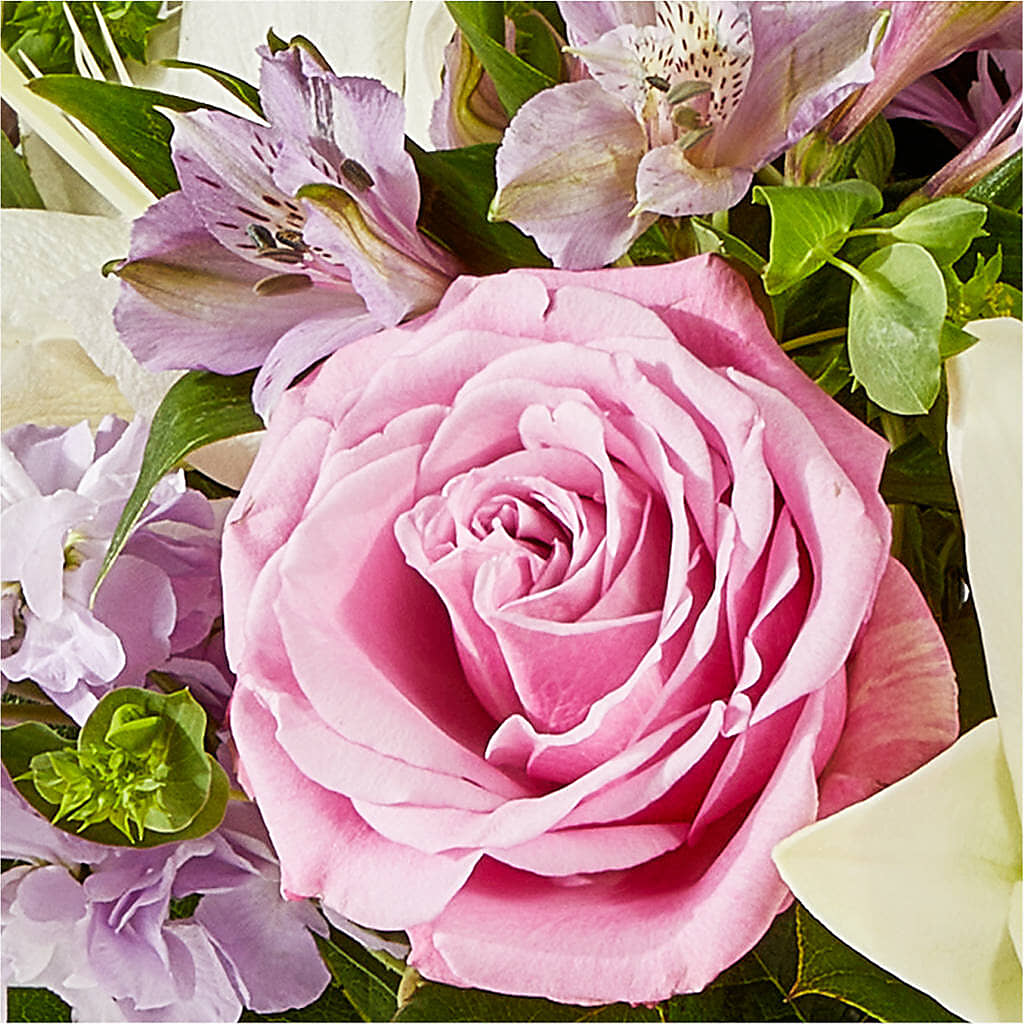 Daydreamer Bouquet –  Still Blooming, Santa Fe TX