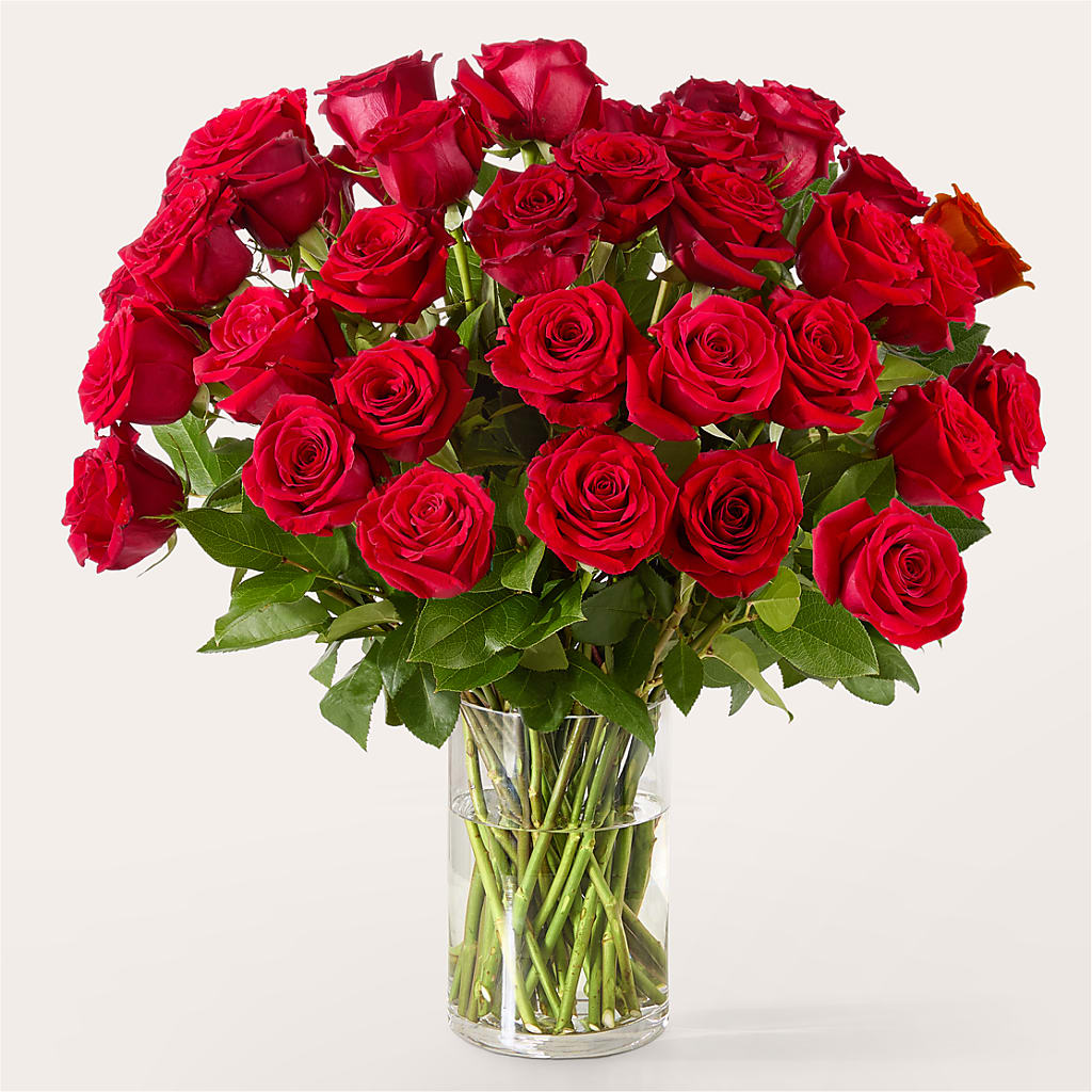 The One Red Rose Bouquet –  Still Blooming, Santa Fe TX
