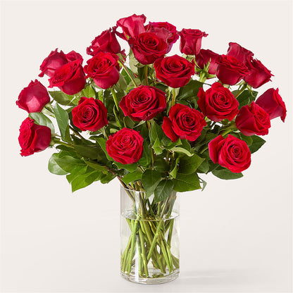 The One Red Rose Bouquet –  Still Blooming, Santa Fe TX