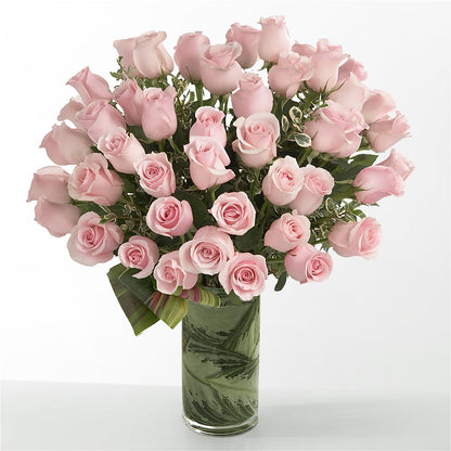Pink Essence –  Still Blooming, Santa Fe TX