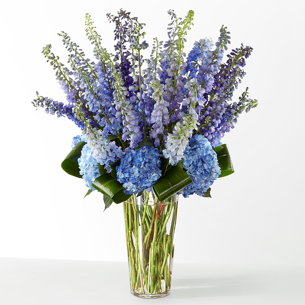The Editorial –  Still Blooming, Santa Fe TX
