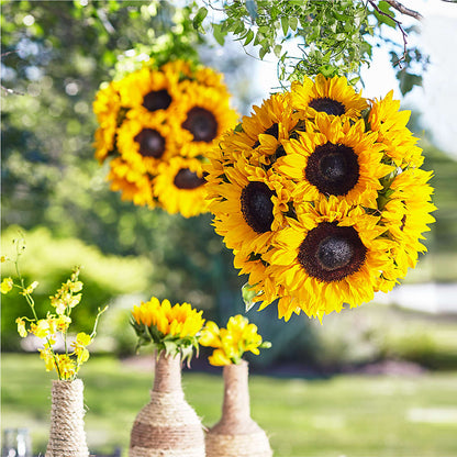 Sublime Garden Hanging Arrangement –  Still Blooming, Santa Fe TX